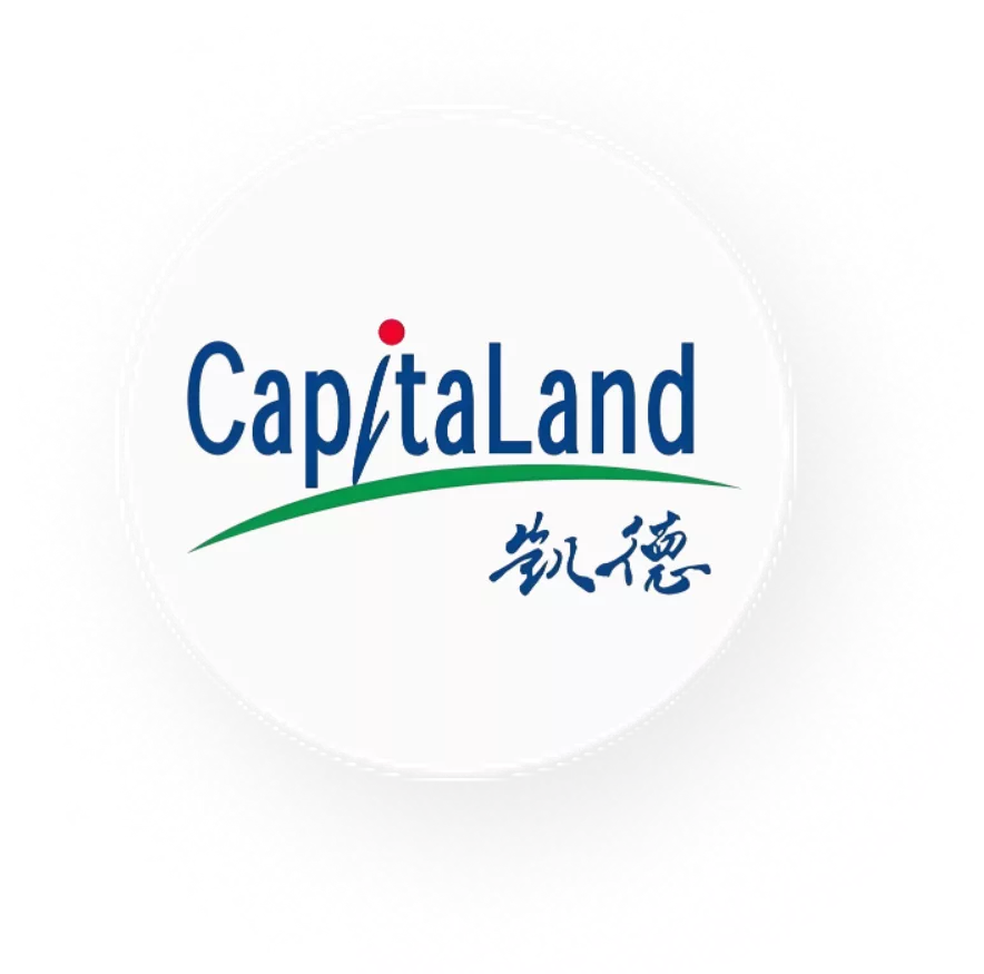 凯德.png