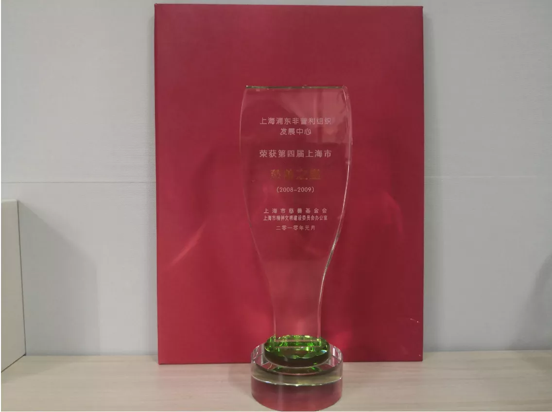 上海浦东非营利组织发展中心于2010年，荣获上海市慈善基金会与上海市精神文明建设委员会办公室联合颁发的“第四届上海市慈善之星”荣誉奖。